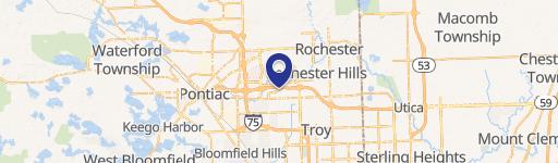Rochester Hills, MI 48309