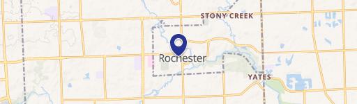 Rochester, MI 48307