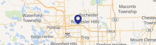 Rochester Hills, MI 48309