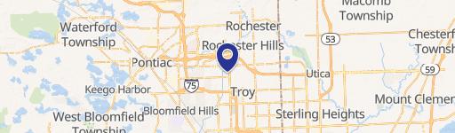 Rochester Hills, MI 48309