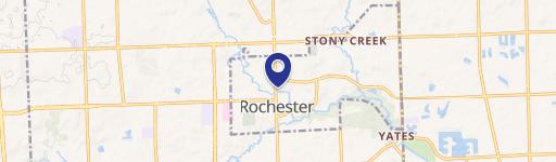 Rochester, MI 48307
