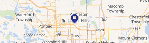 Rochester Hills, MI 48309