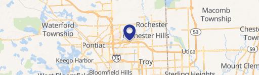 Rochester Hills, MI 48309