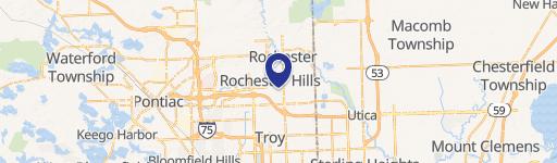 Rochester Hills, MI 48307