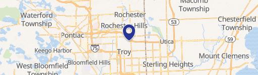 Rochester Hills, MI 48307