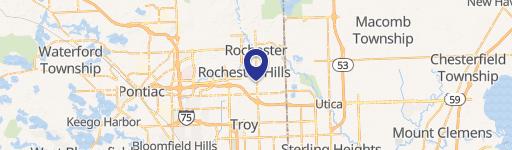 Rochester Hills, MI 48307
