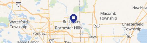 Rochester Hills, MI 48307