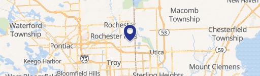 Rochester Hills, MI 48307
