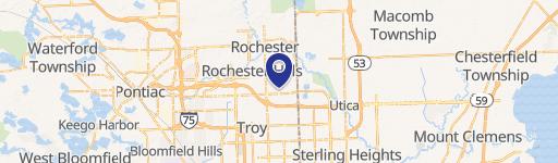 Rochester Hills, MI 48307