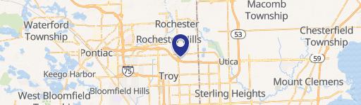 Rochester Hills, MI 48307