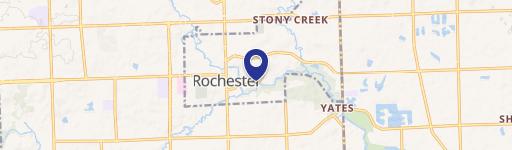Rochester, MI 48307