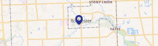 Rochester, MI 48307