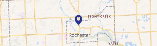 Rochester, MI 48307