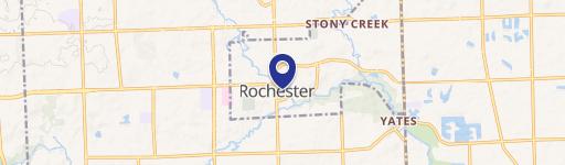 Rochester, MI 48307