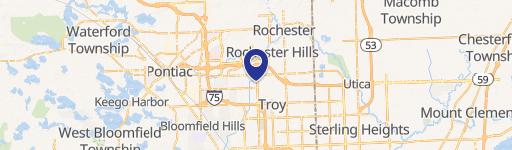 Rochester Hills, MI 48309