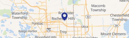 Rochester Hills, MI 48307