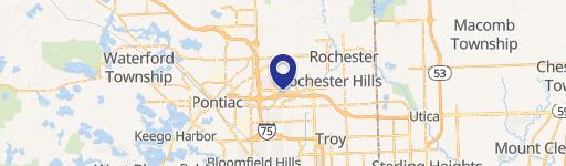 Rochester Hills, MI 48309