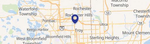 Rochester Hills, MI 48309