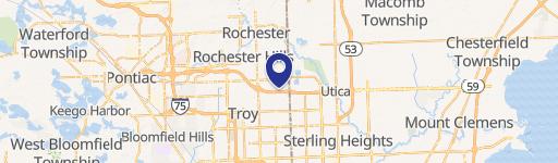 Rochester Hills, MI 48307