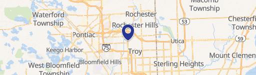 Rochester Hills, MI 48309