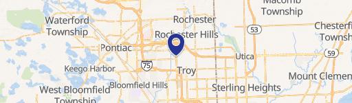 Rochester Hills, MI 48309