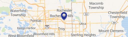 Rochester Hills, MI 48307