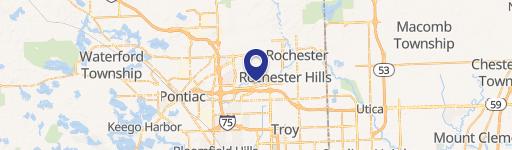 Rochester Hills, MI 48309