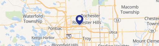 Rochester Hills, MI 48309
