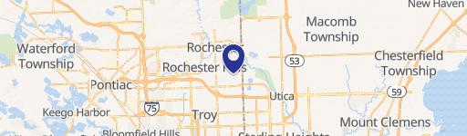 Rochester Hills, MI 48307