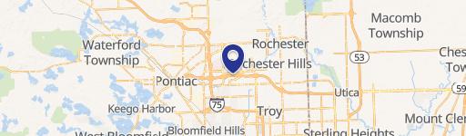 Rochester Hills, MI 48309