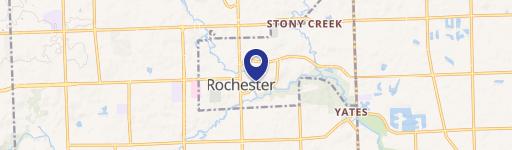 Rochester, MI 48307