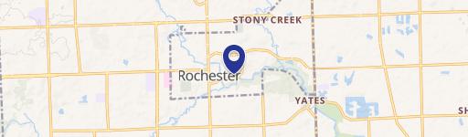 Rochester, MI 48307