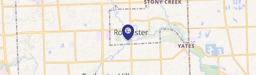 Rochester, MI 48307