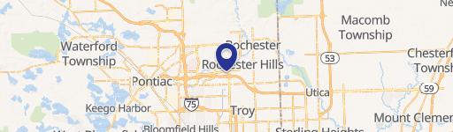 Rochester Hills, MI 48309