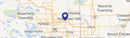 Rochester Hills, MI 48309