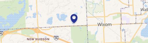 Wixom, MI 48393
