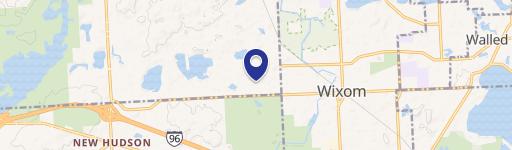 Wixom, MI 48393