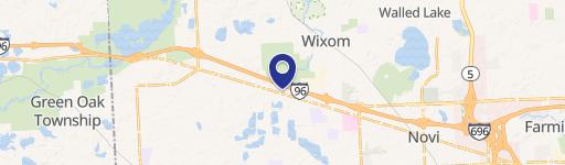 Wixom, MI 48393