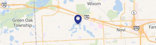 Wixom, MI 48393
