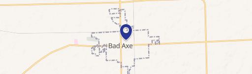 Bad Axe, MI 48413