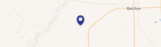 Bad Axe, MI 48413