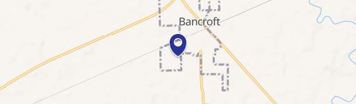 Bancroft, MI 48414