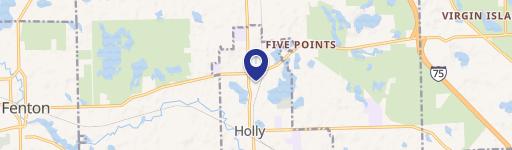 Holly, MI 48442