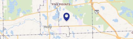 Holly, MI 48442