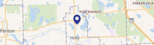 Holly, MI 48442