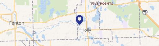 Holly, MI 48442