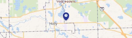 Holly, MI 48442