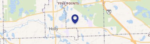 Holly, MI 48442