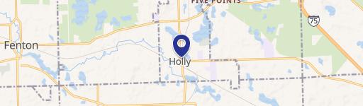 Holly, MI 48442