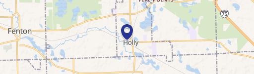 Holly, MI 48442